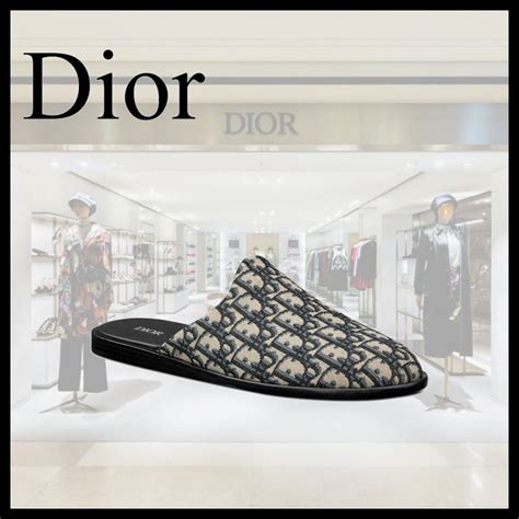 dior shoes limited edition|genuine christian dior shoes.